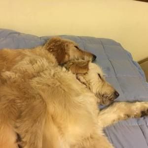 Meet your Posher, Pamela